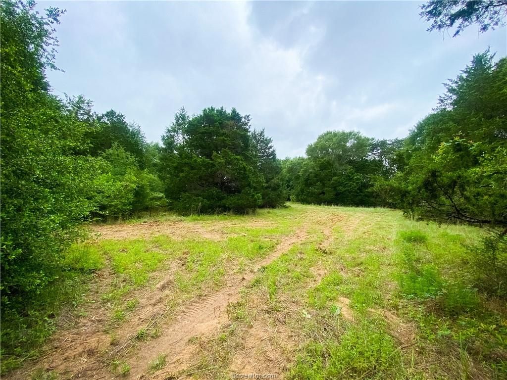 4.5 acres in Burleson County, Texas