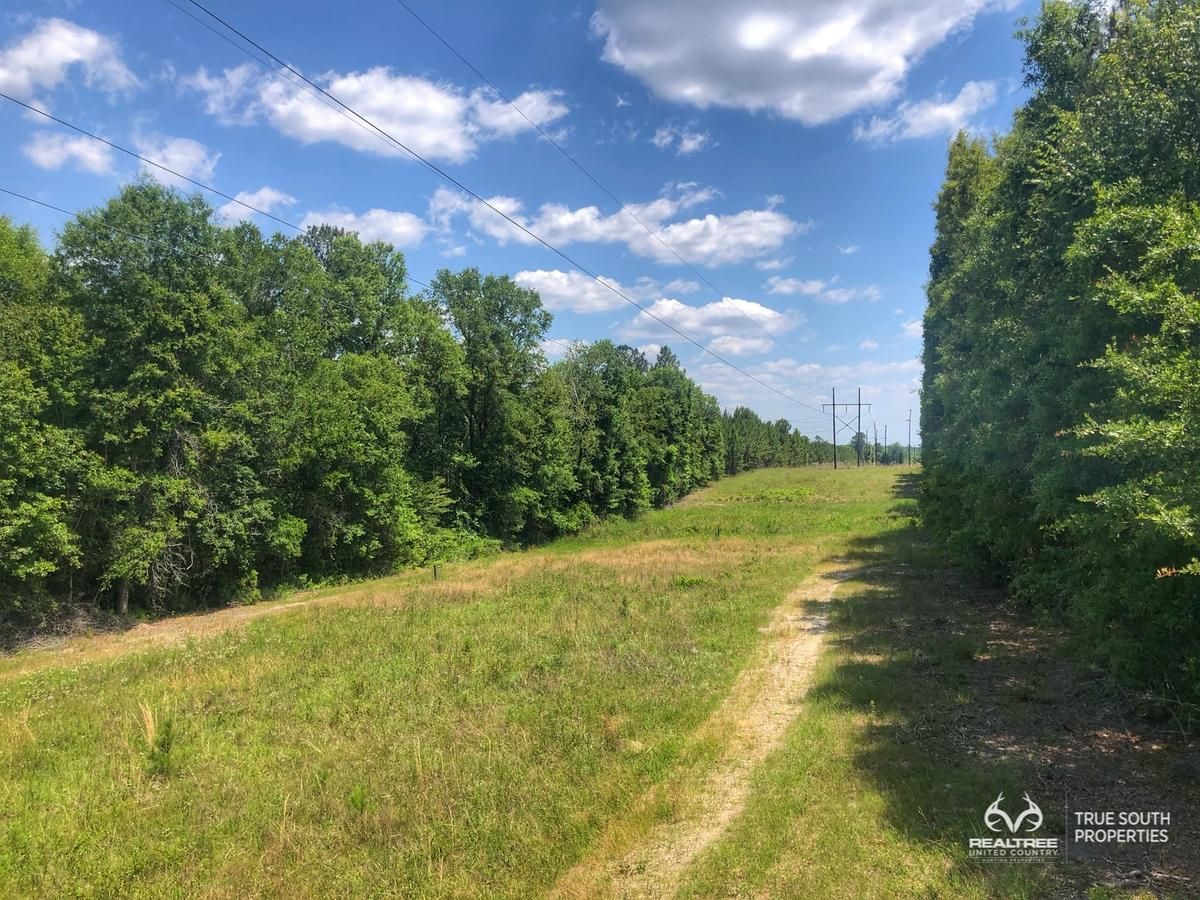 41.51 acres in Screven County,