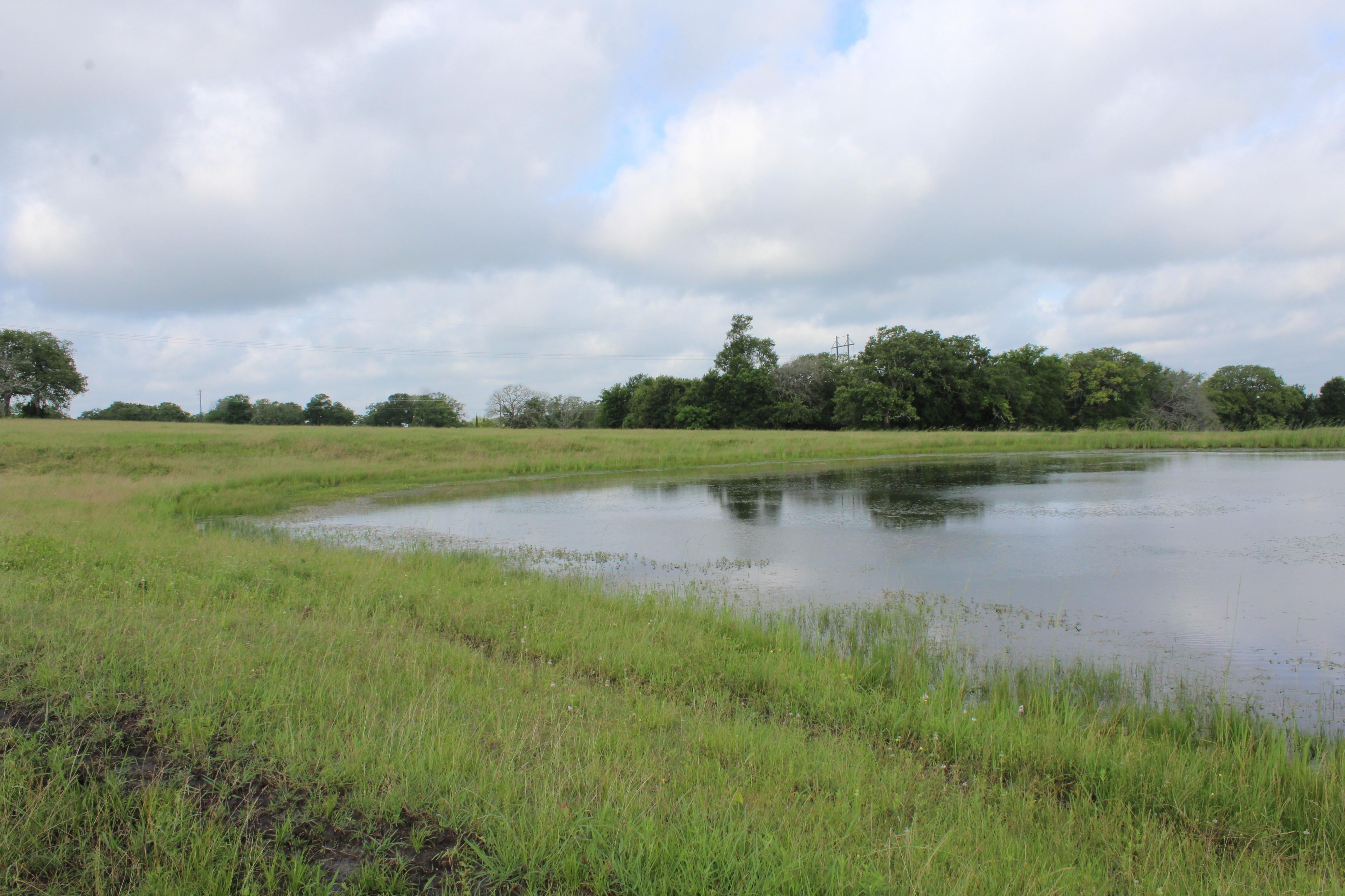 20 acres in Grimes County, Texas