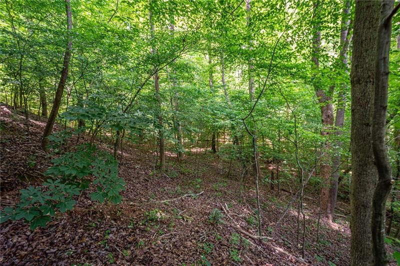 5.4 acres in Lumpkin County,