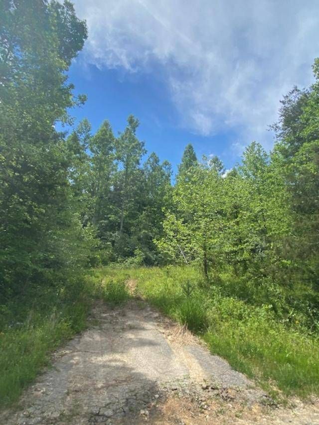 63 acres in Elliott County, Kentucky