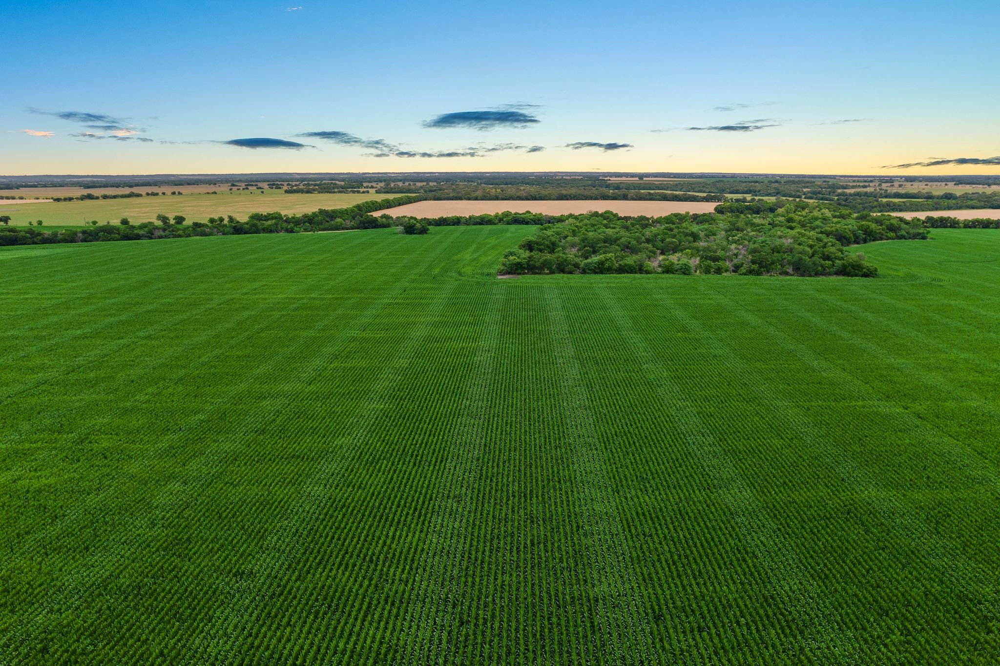 195 acres in Falls County, Texas