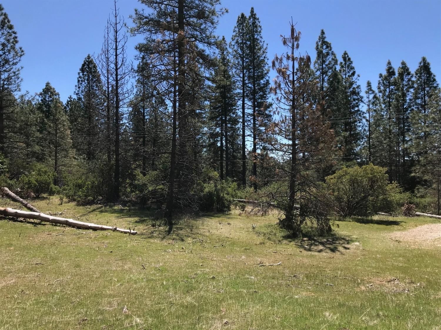 5.41 acres in El Dorado County, California