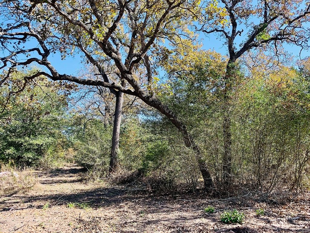 8 acres in Fayette County, Texas
