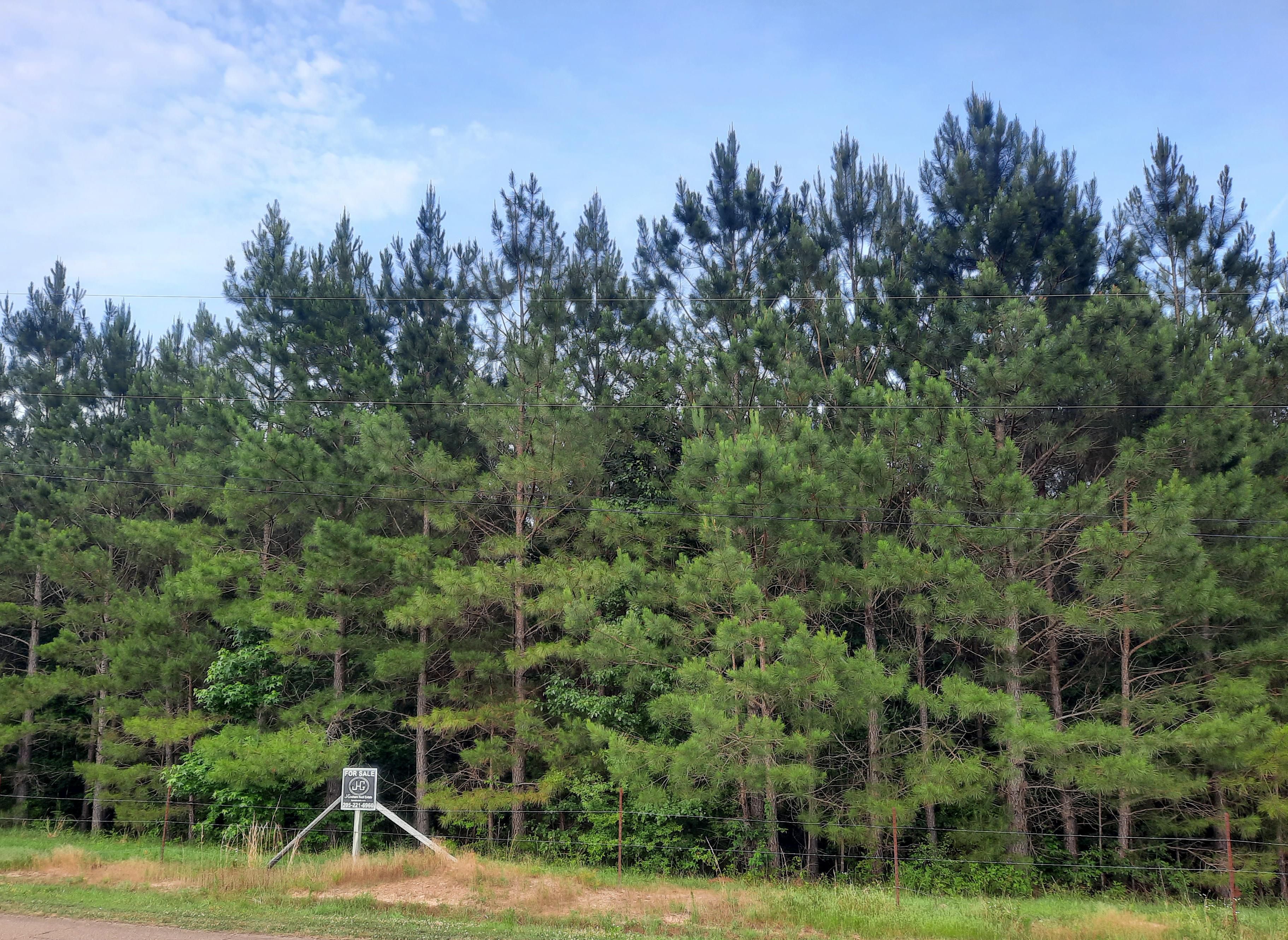 33 acres in Walker County, Alabama