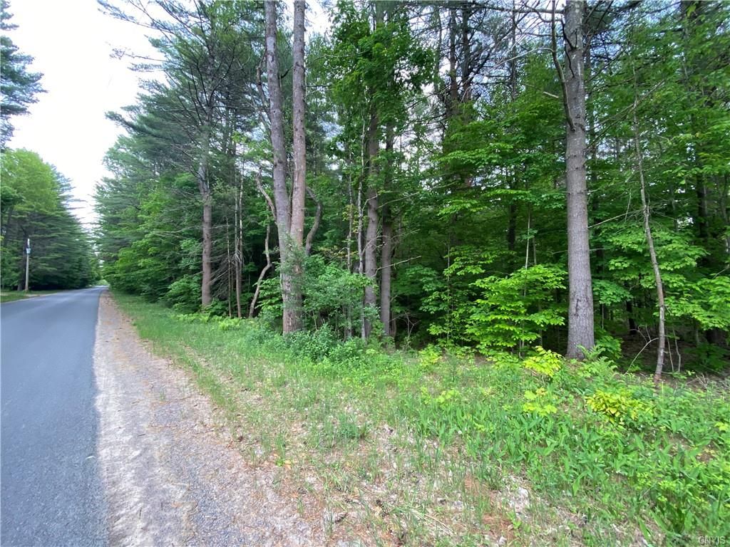 28.7 acres in Lewis County, New York