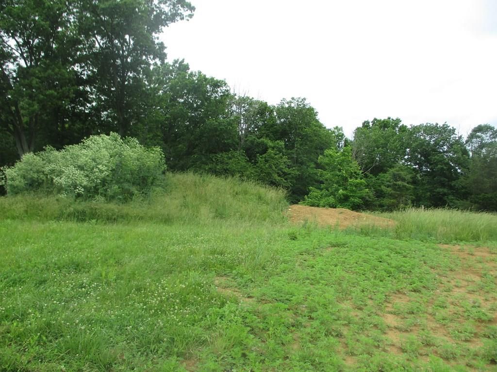 46 acres in Fleming County, Kentucky