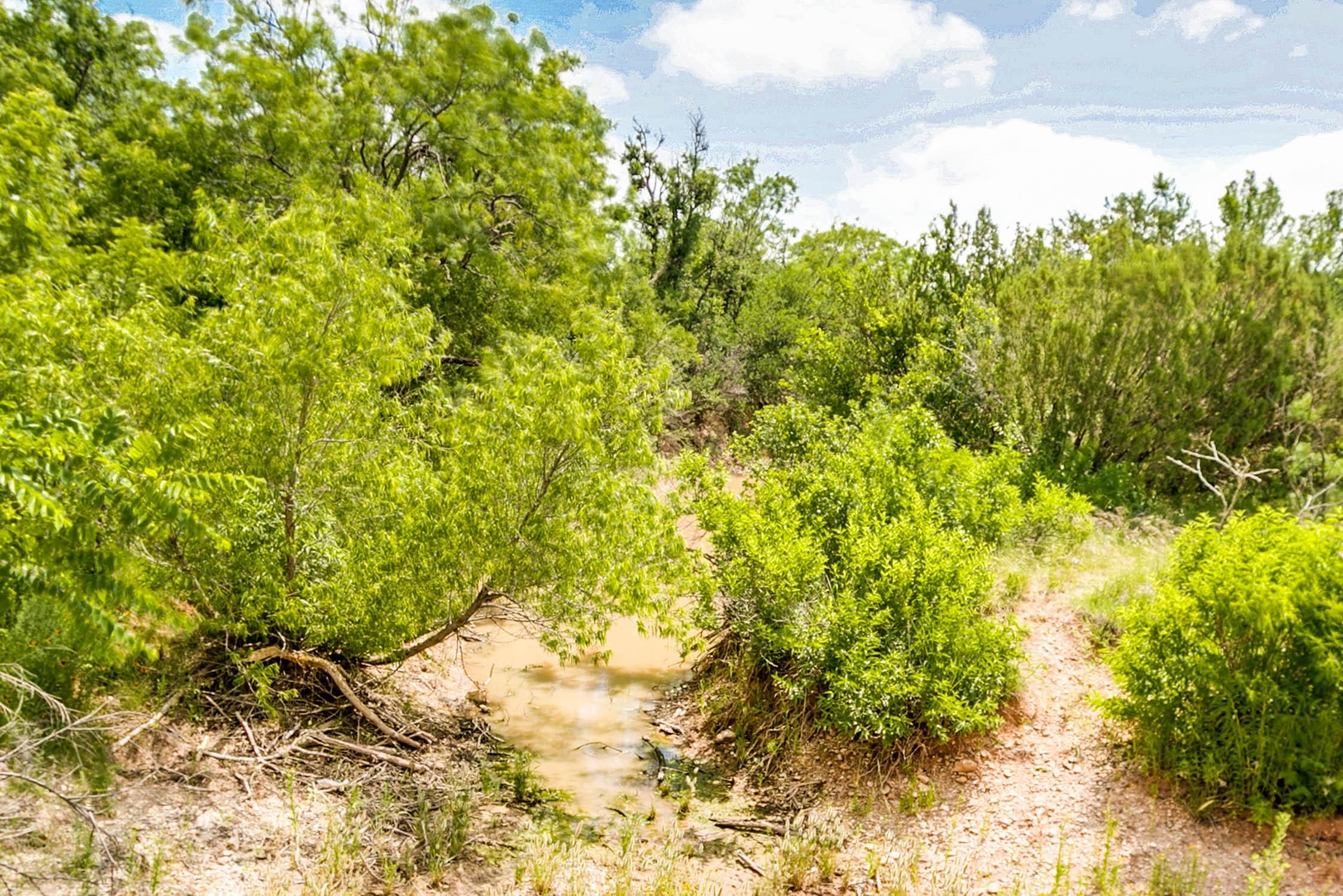 82 acres in Taylor County, Texas