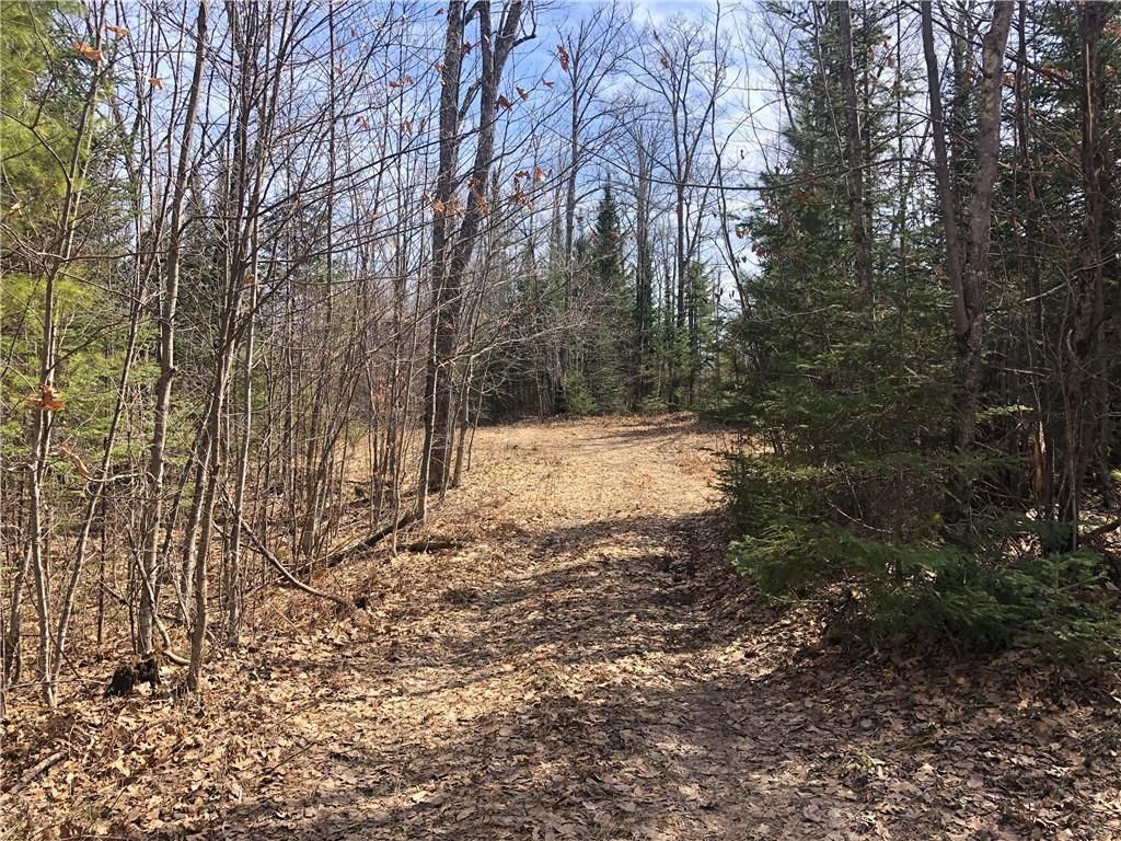 40 acres in Douglas County, Wisconsin