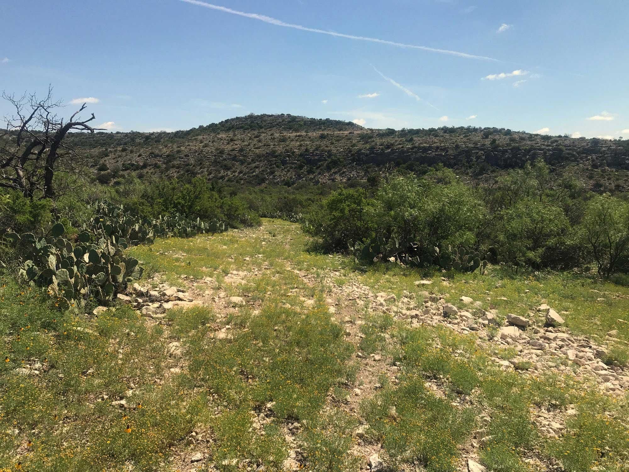 2,936 acres in Terrell County, Texas