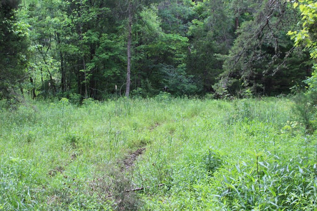 17 acres in Grainger County, Tennessee