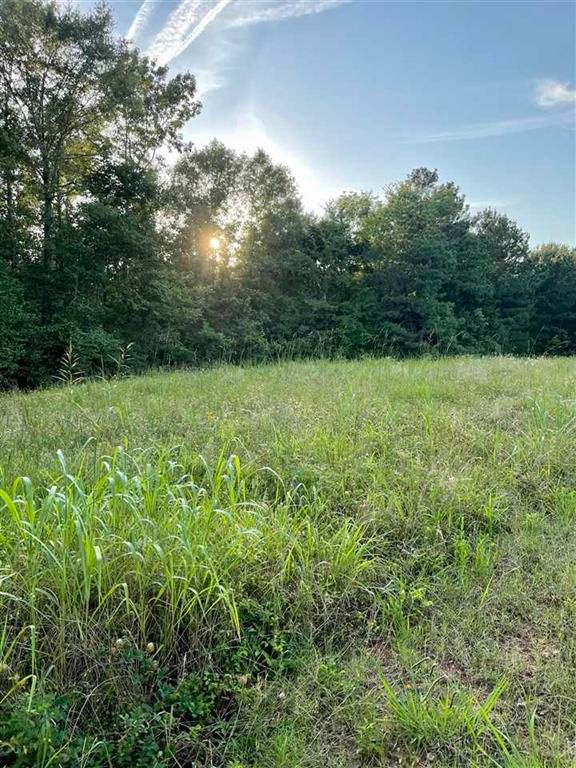 36.44 acres in Panola County, Texas