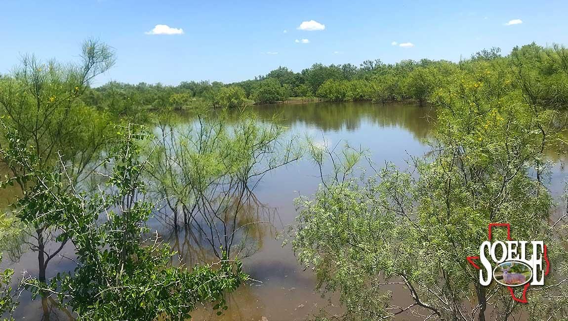 148 acres in McMullen County, Texas