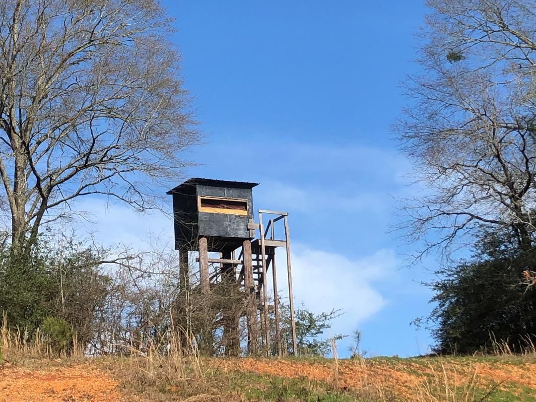 40 acres in Monroe County, Alabama