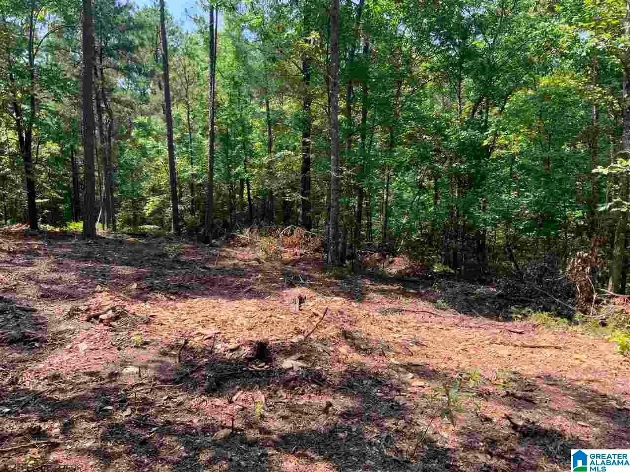 19 acres in Chilton County, Alabama