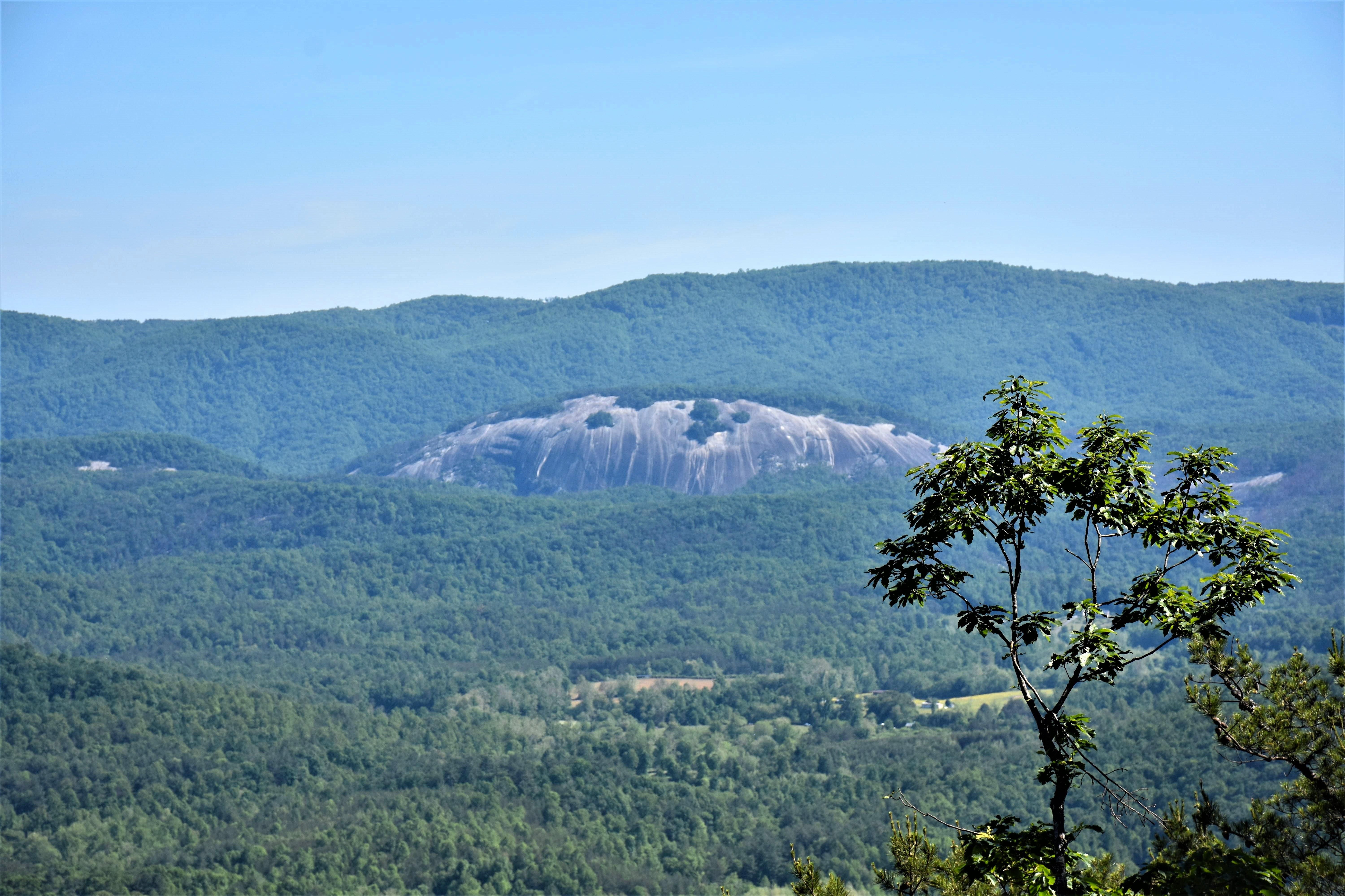 481 acres in Wilkes County, North Carolina