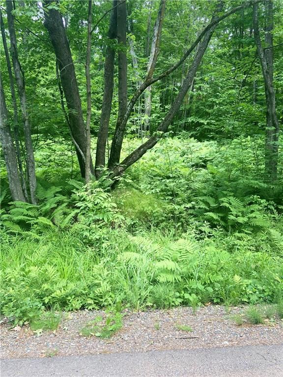 3 acres in Washburn County, Wisconsin