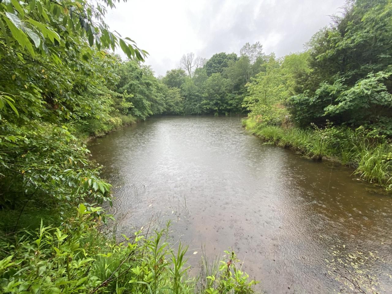 159 acres in Casey County, Kentucky