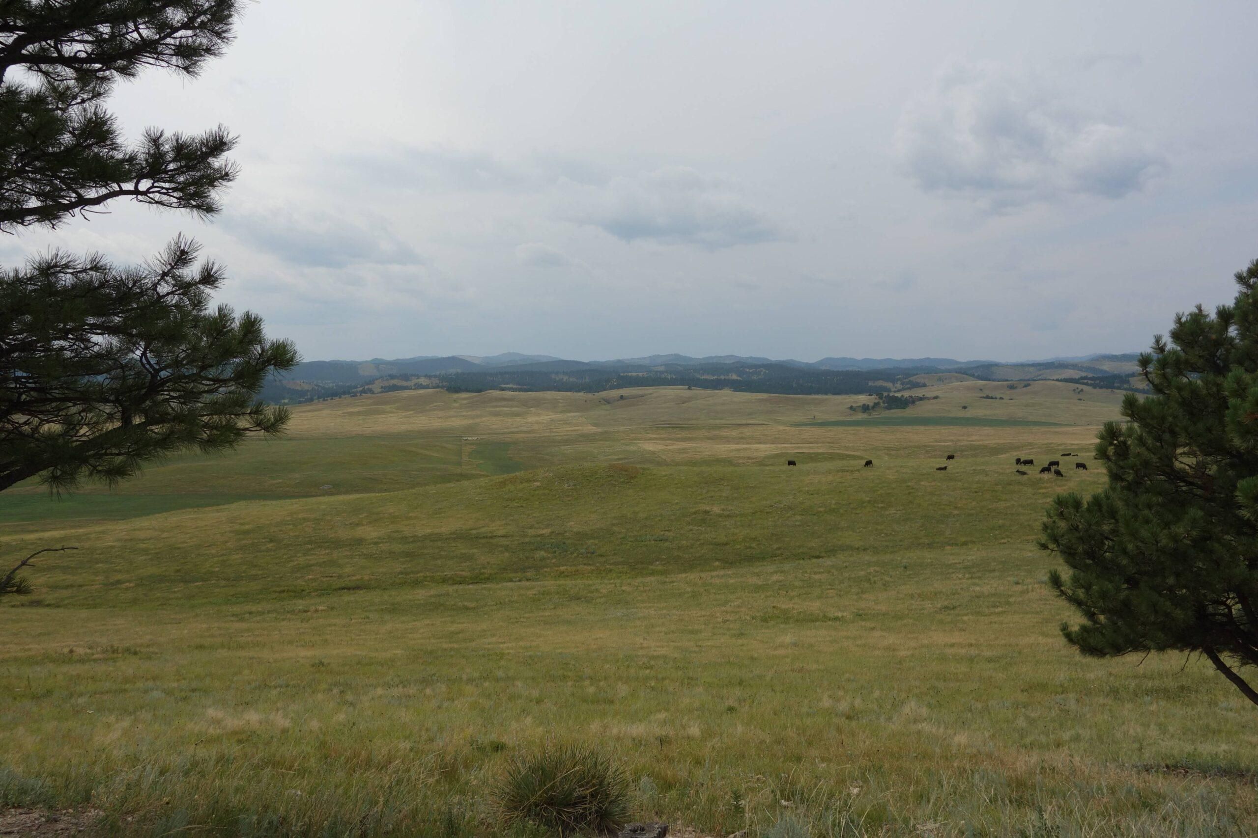 520 acres in Custer County, South Dakota