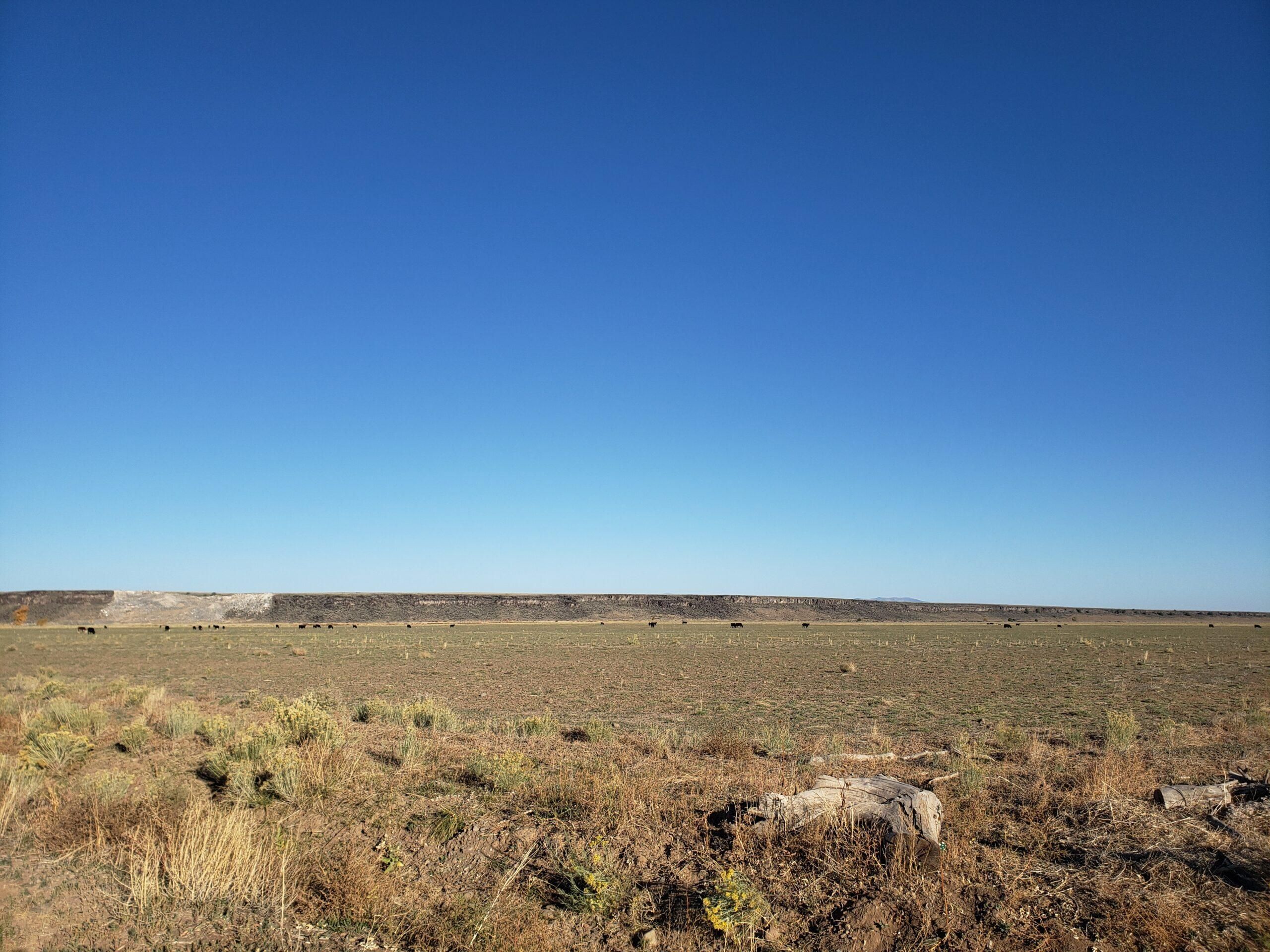 720 acres in Conejos County, Colorado