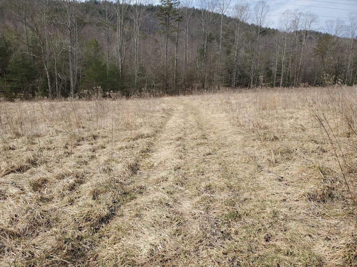 8 acres in Wilkes County, North Carolina