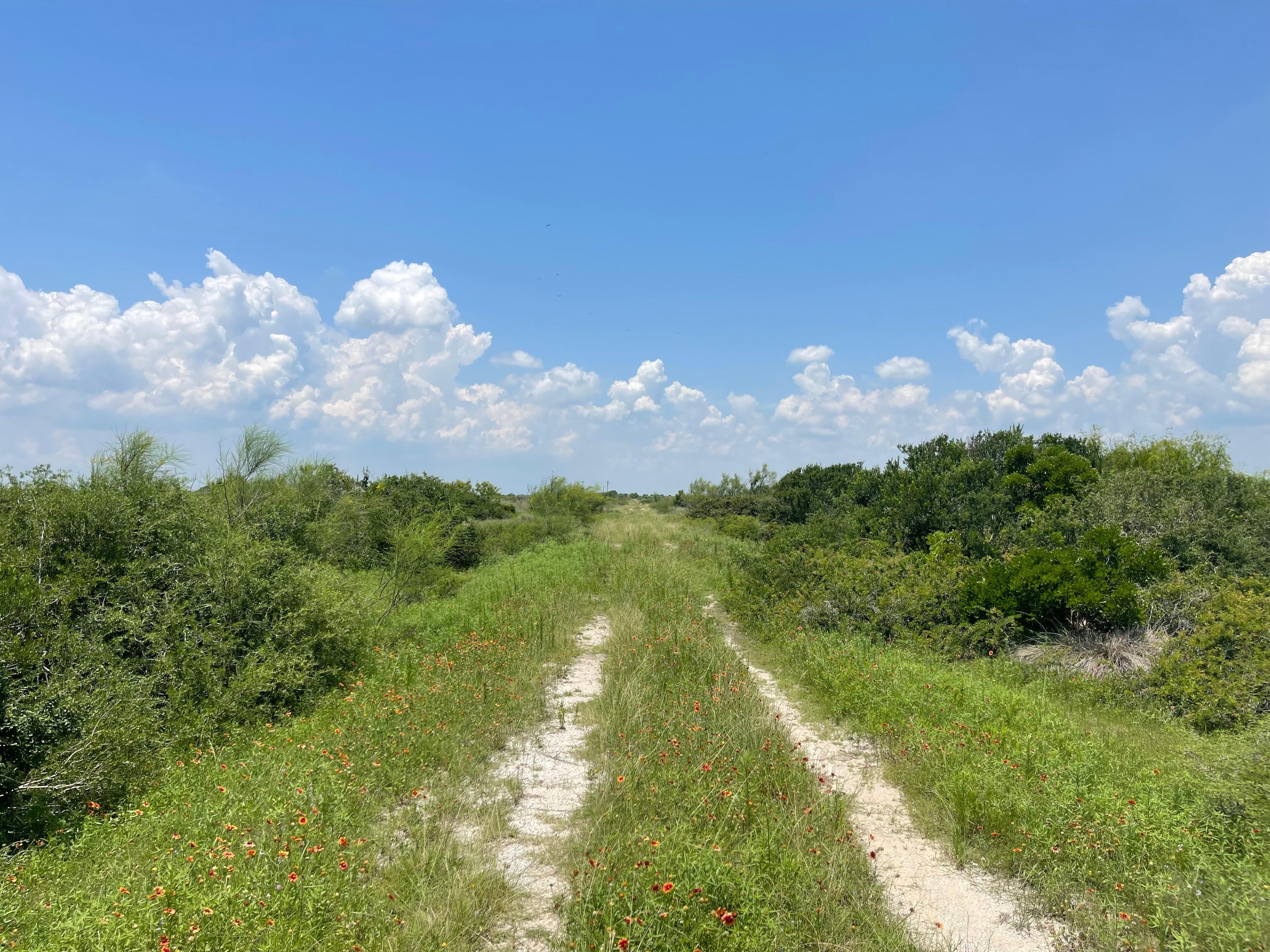 200 acres in Port Lavaca, TX, 77979