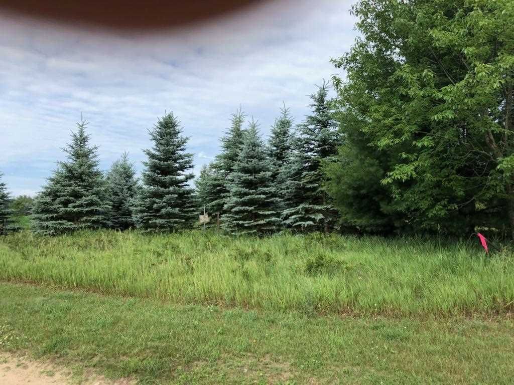 40 acres in Clare County, Michigan