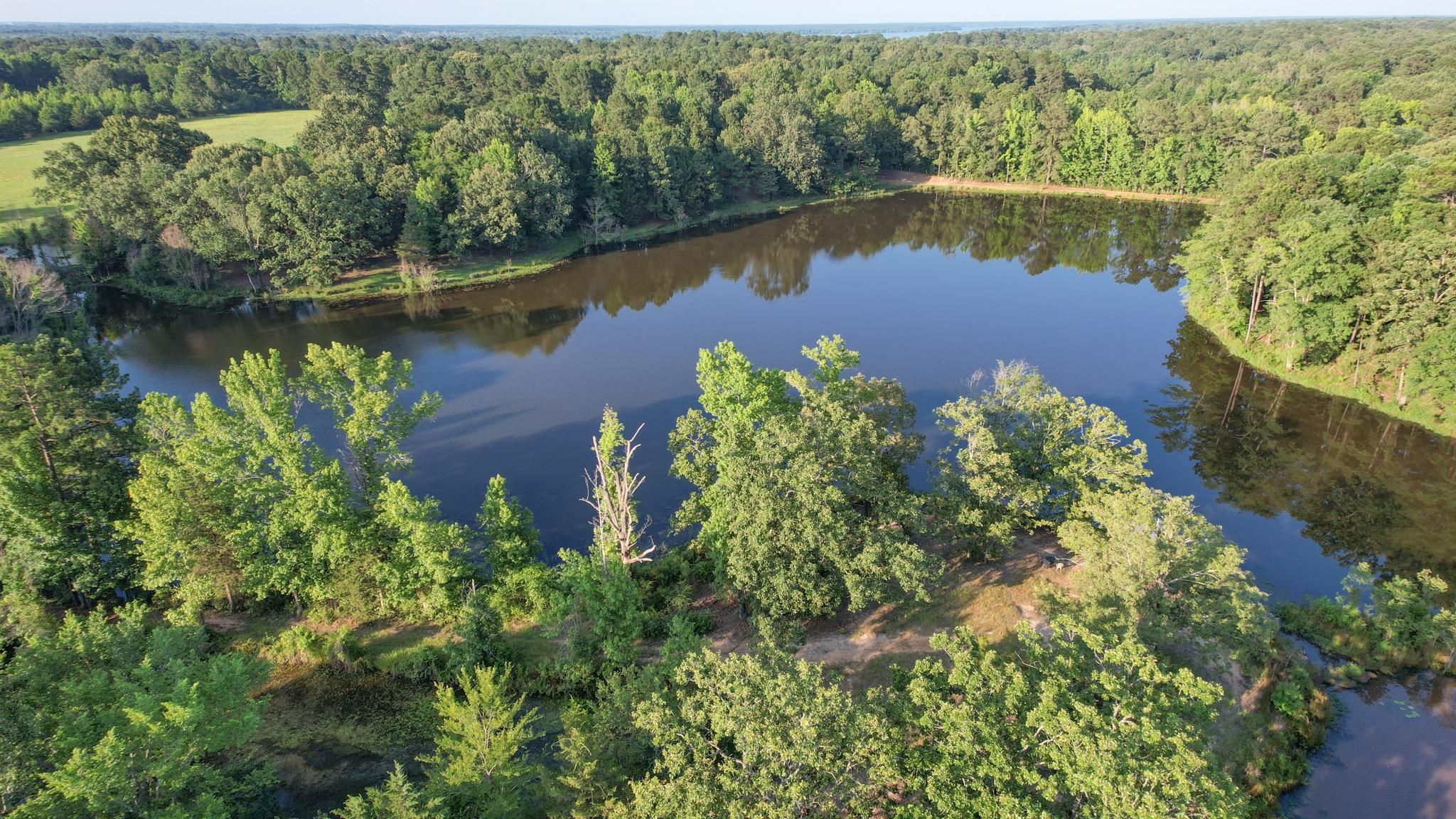 137.86 acres in Bowie County, Texas