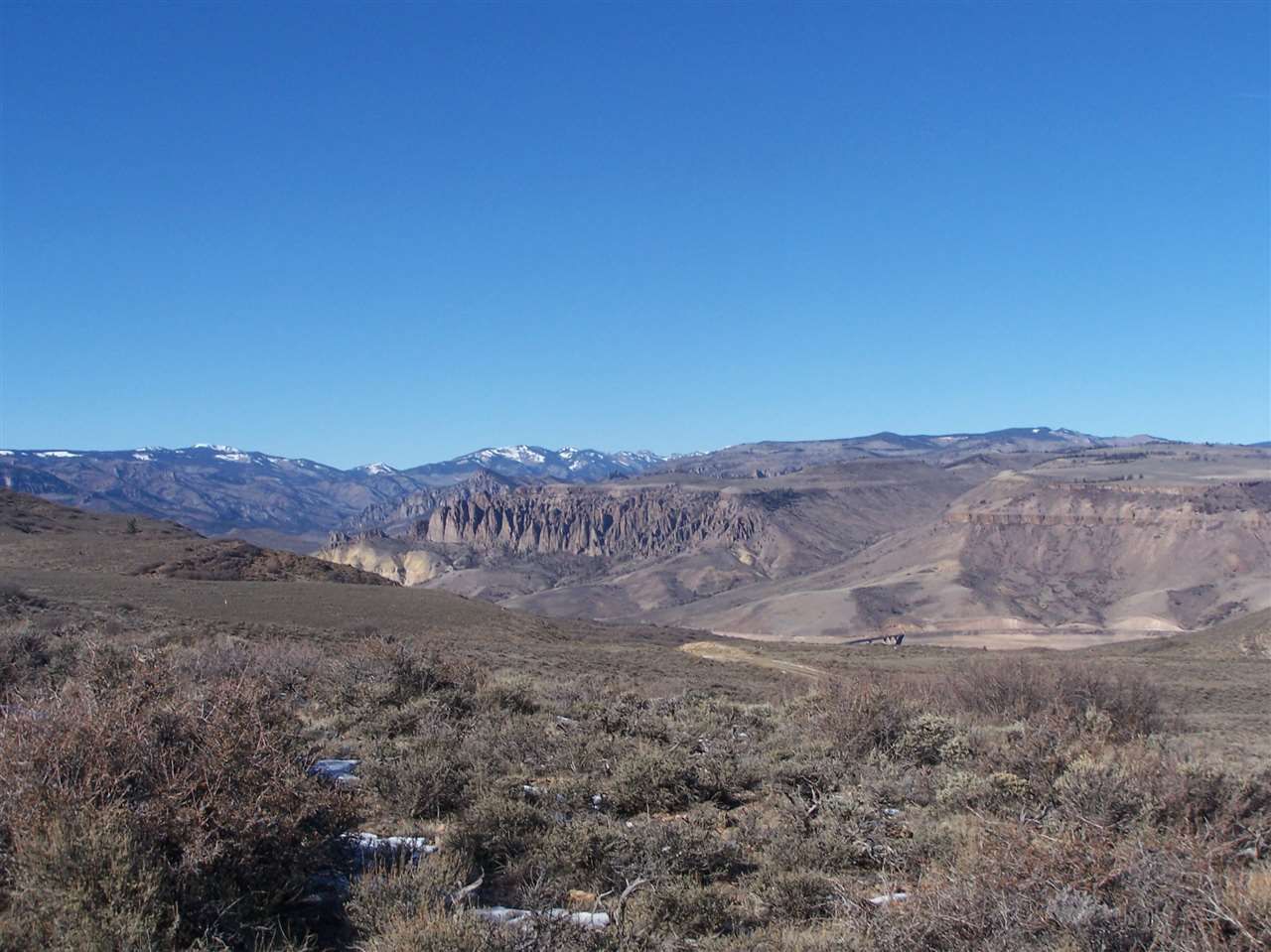 40 acres in Gunnison County, Colorado