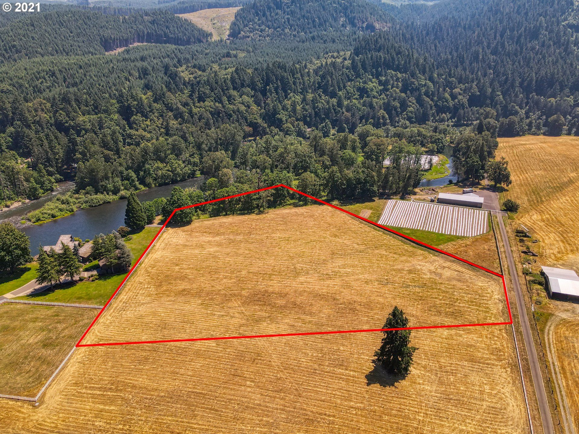 7 acres in Lane County, Oregon