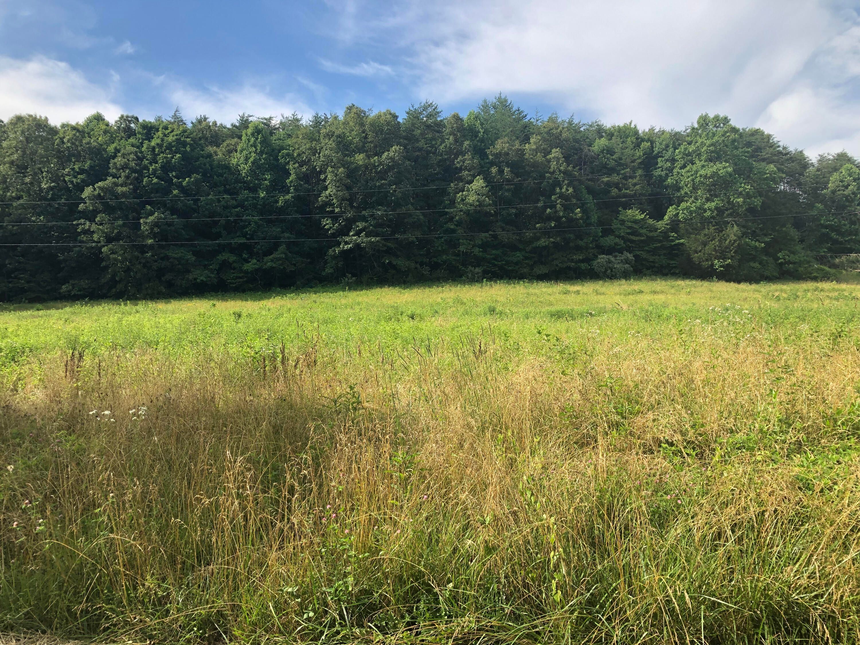 116 acres in Wolfe County, Kentucky