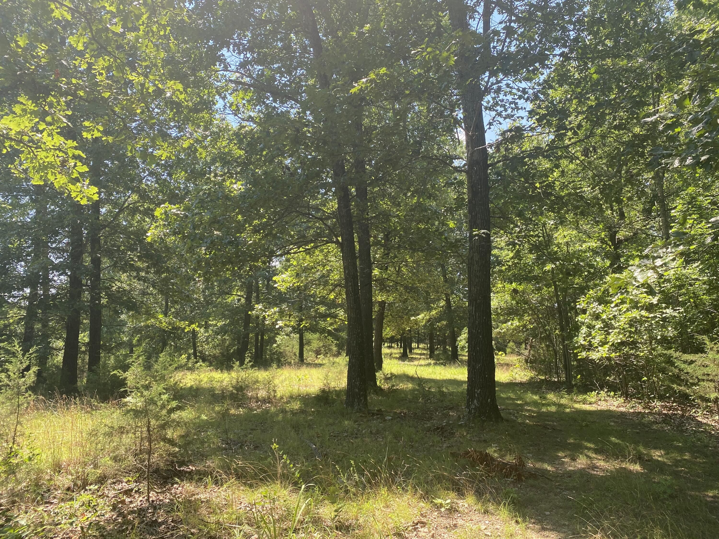 18.74 acres in Boone County, Arkansas