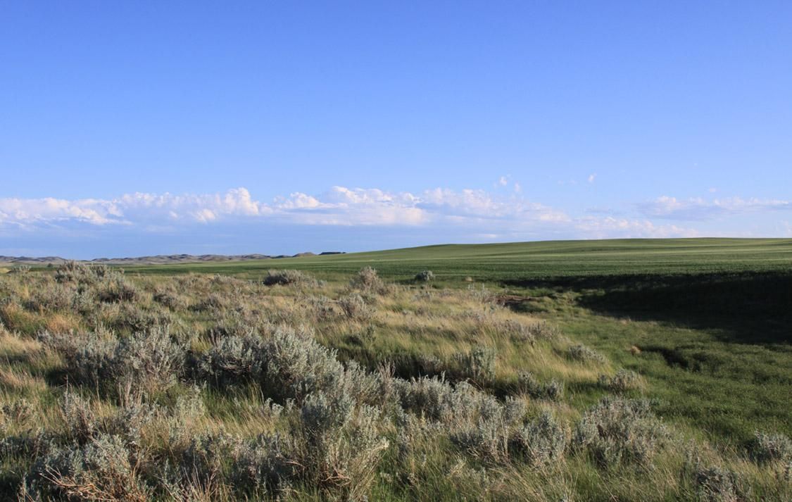 7,101.17 acres in Garfield County, Montana