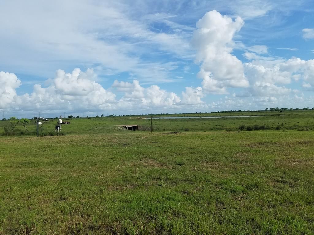 20 acres in Brazoria County, Texas