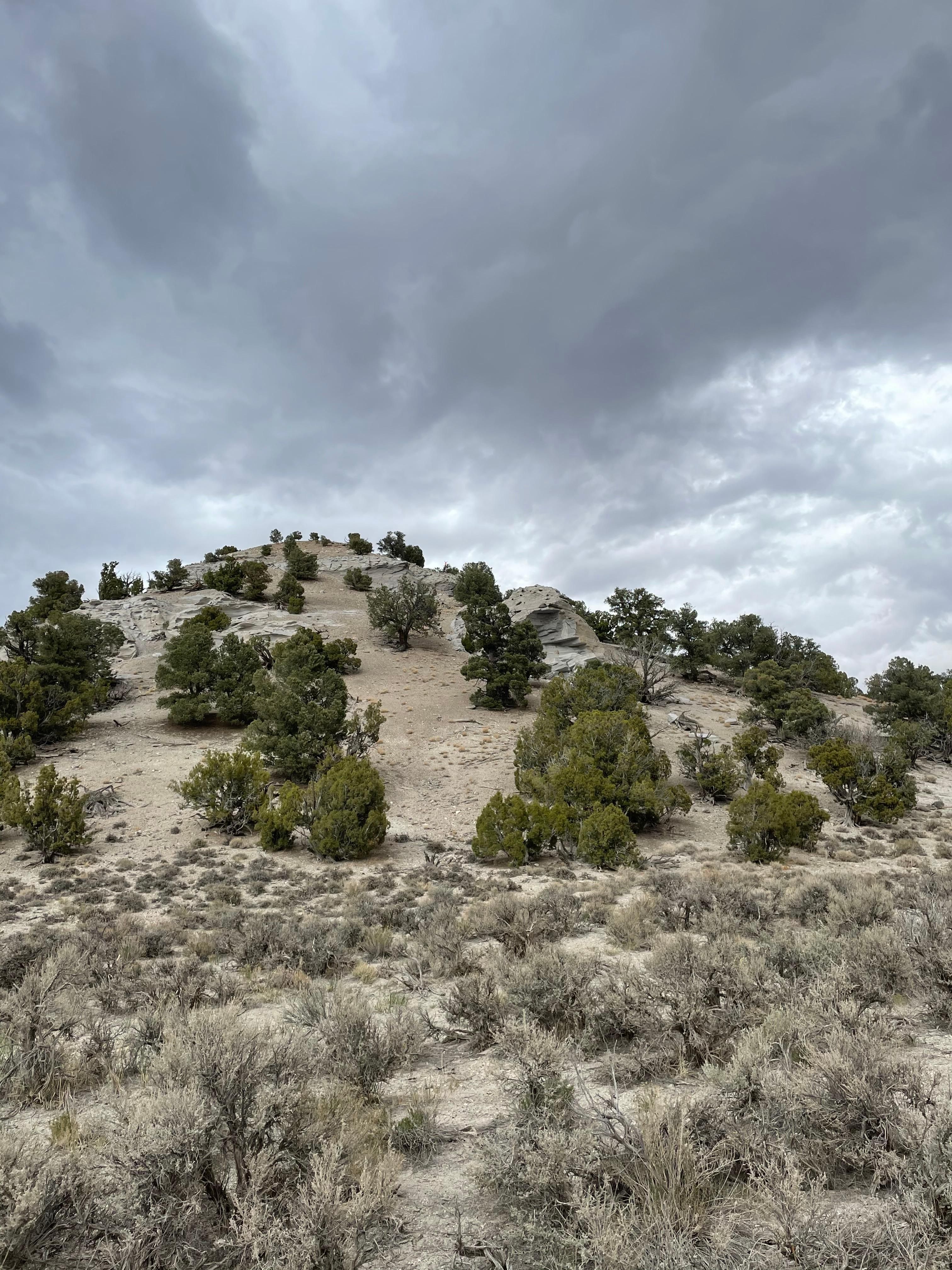 40 acres in Elko County, Nevada