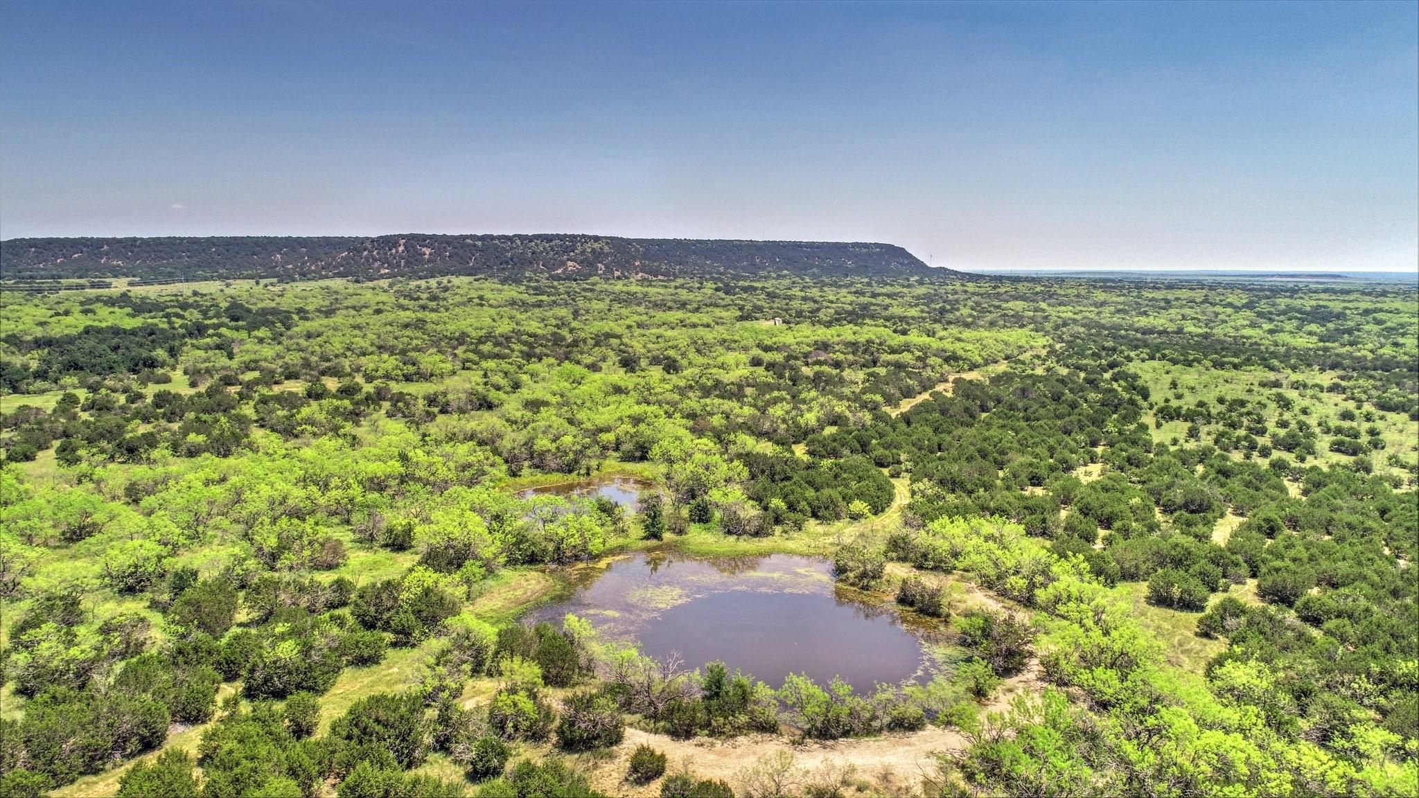 320 acres in Palo Pinto County, Texas