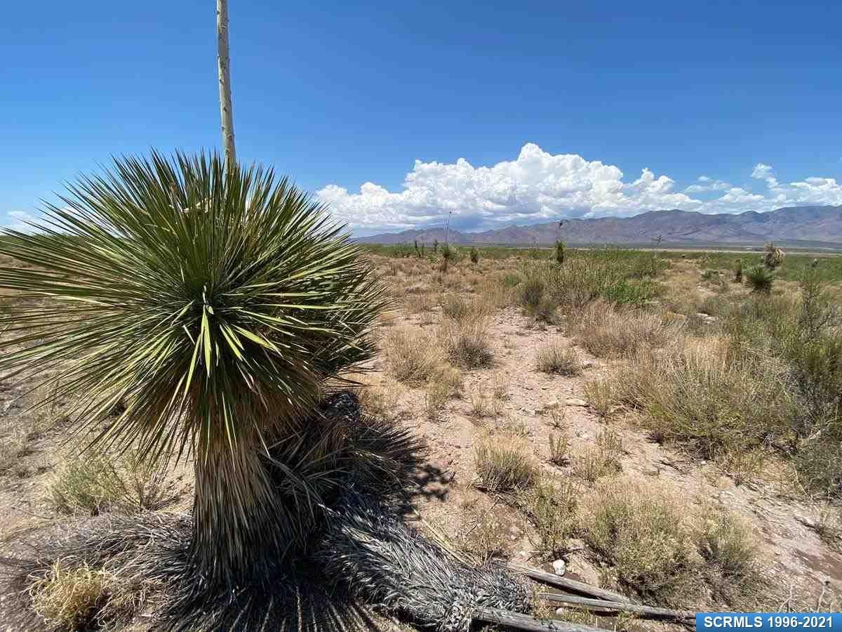 40 acres in Hidalgo County, New Mexico