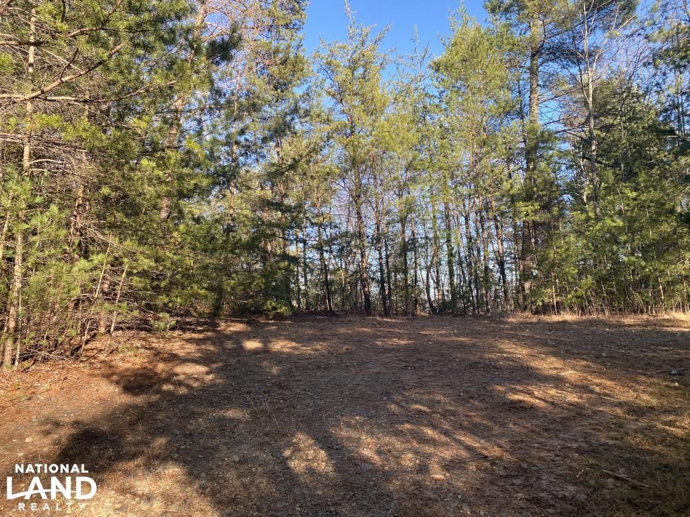 14.51 acres in Wilkes County, North Carolina