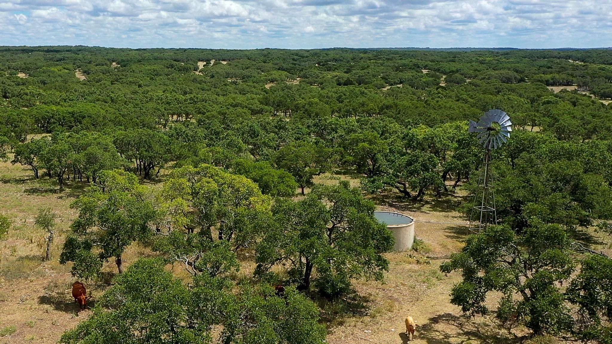 161 acres in Kimble County, Texas