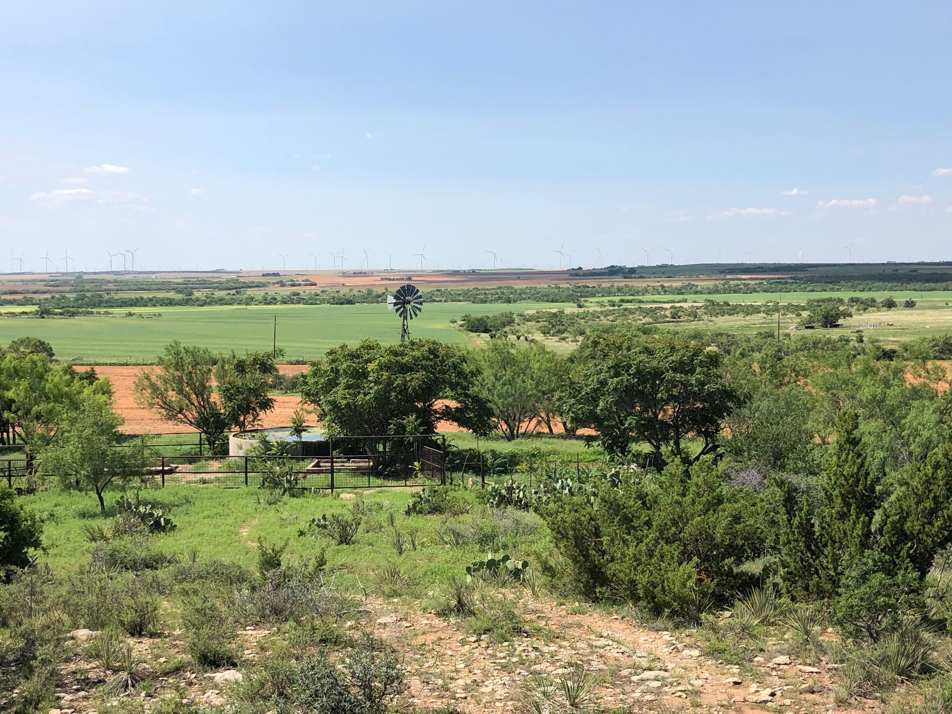 133 acres in Nolan County, Texas