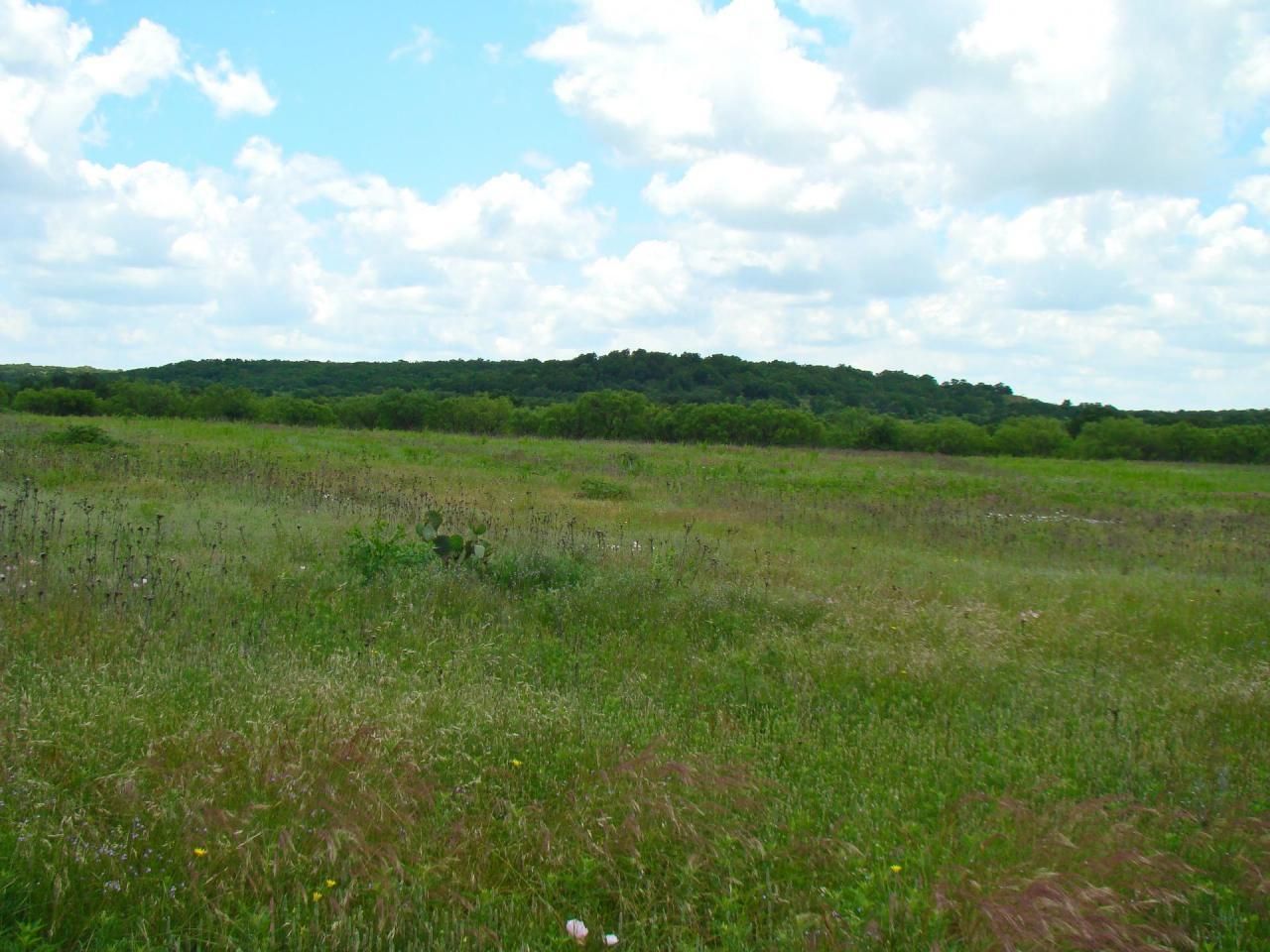 50 acres in Eastland County, Texas