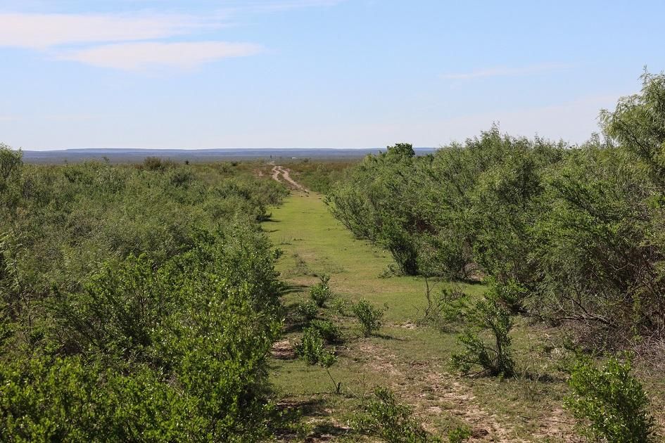 3,000 acres in Terrell County, Texas