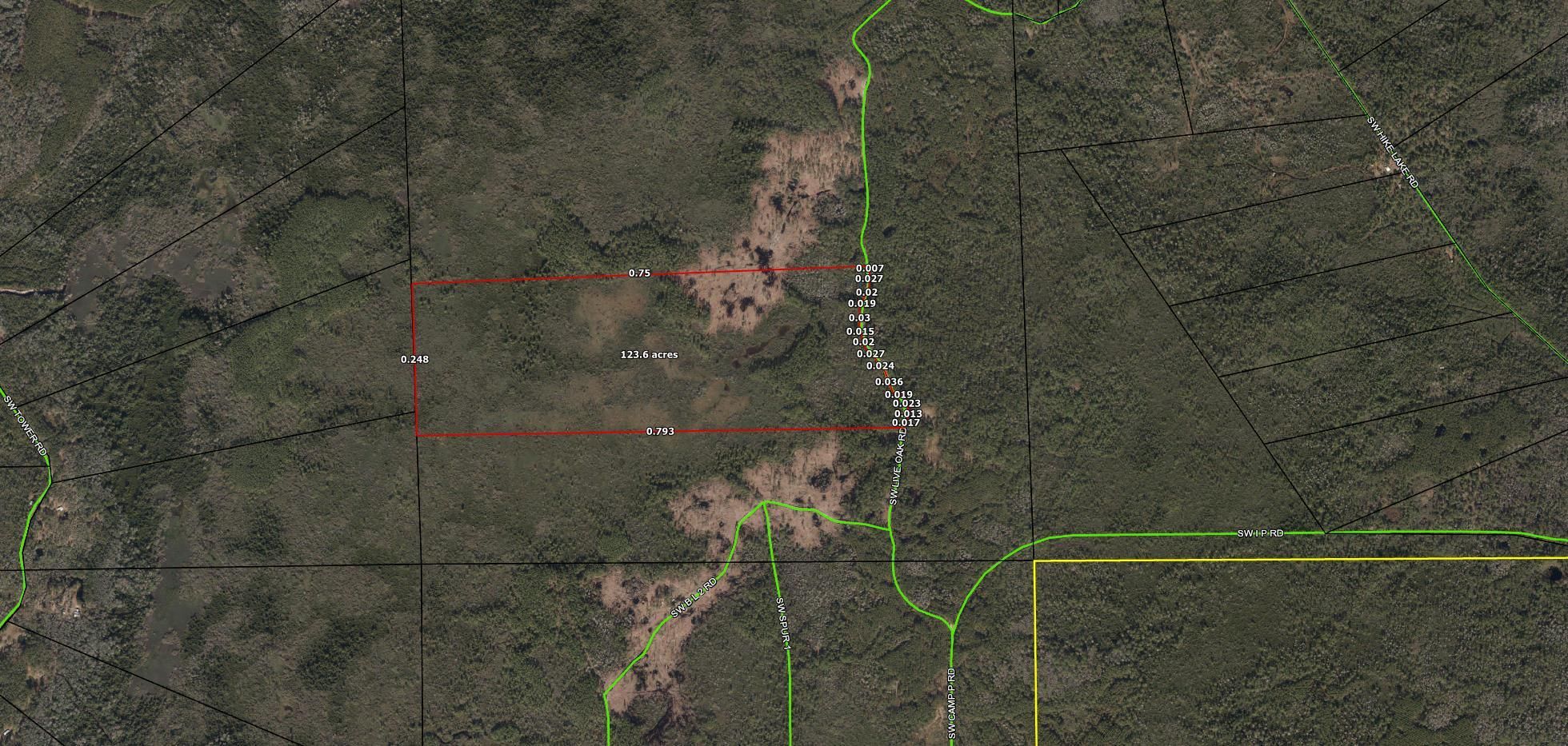 123 acres in Madison County, Florida