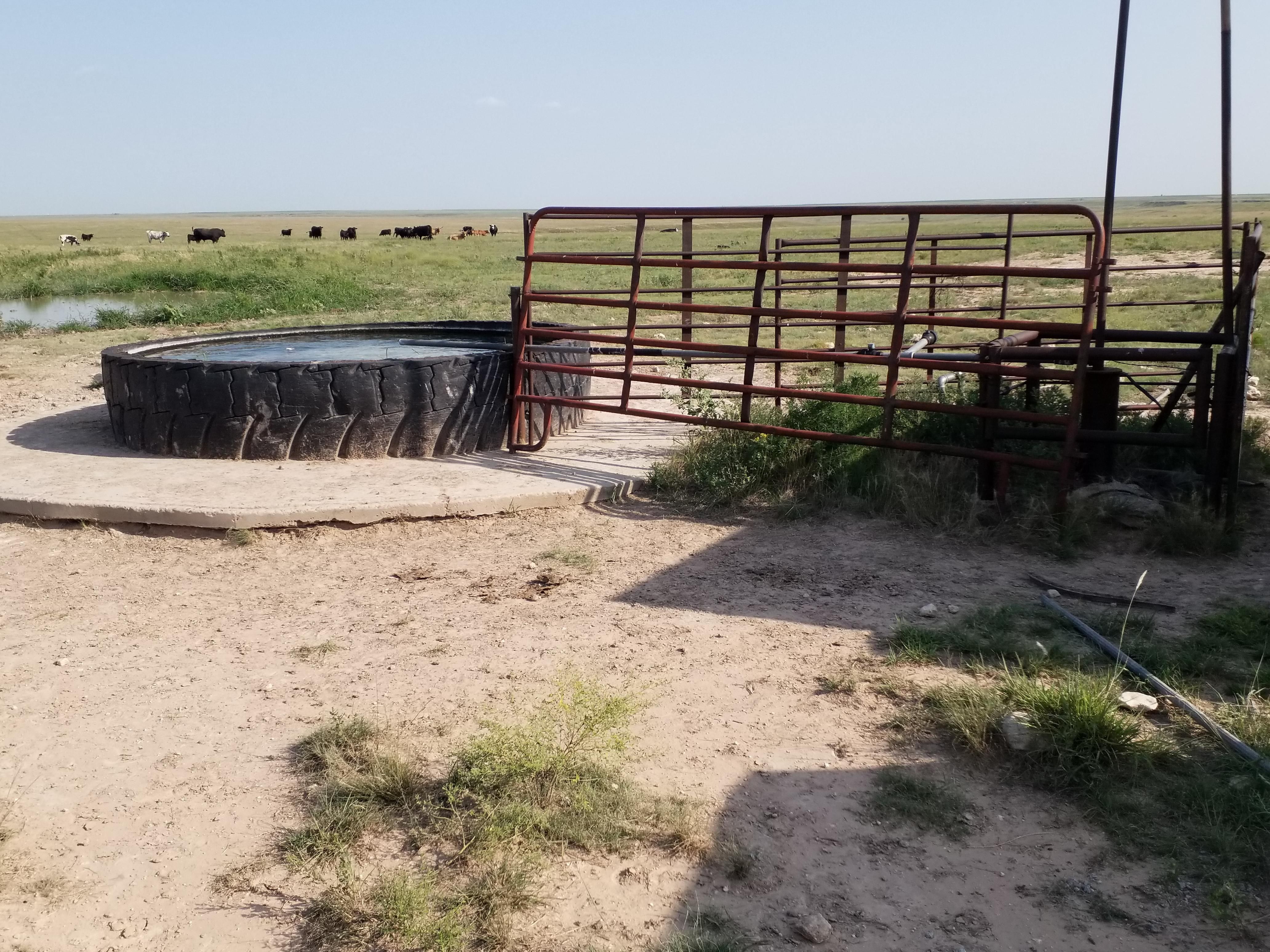 640 acres in Hansford County, Texas