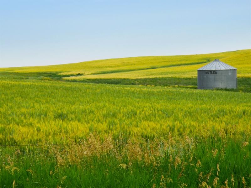 200 acres in Fergus County, Montana