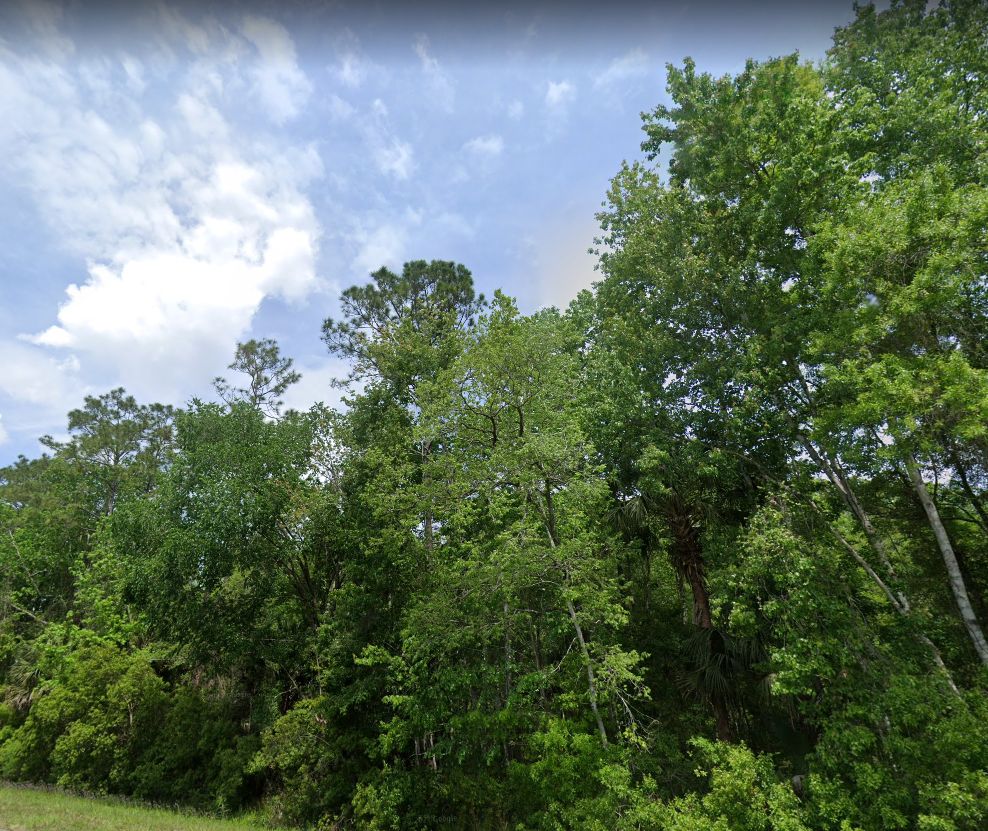 1 acres in Putnam County, Florida