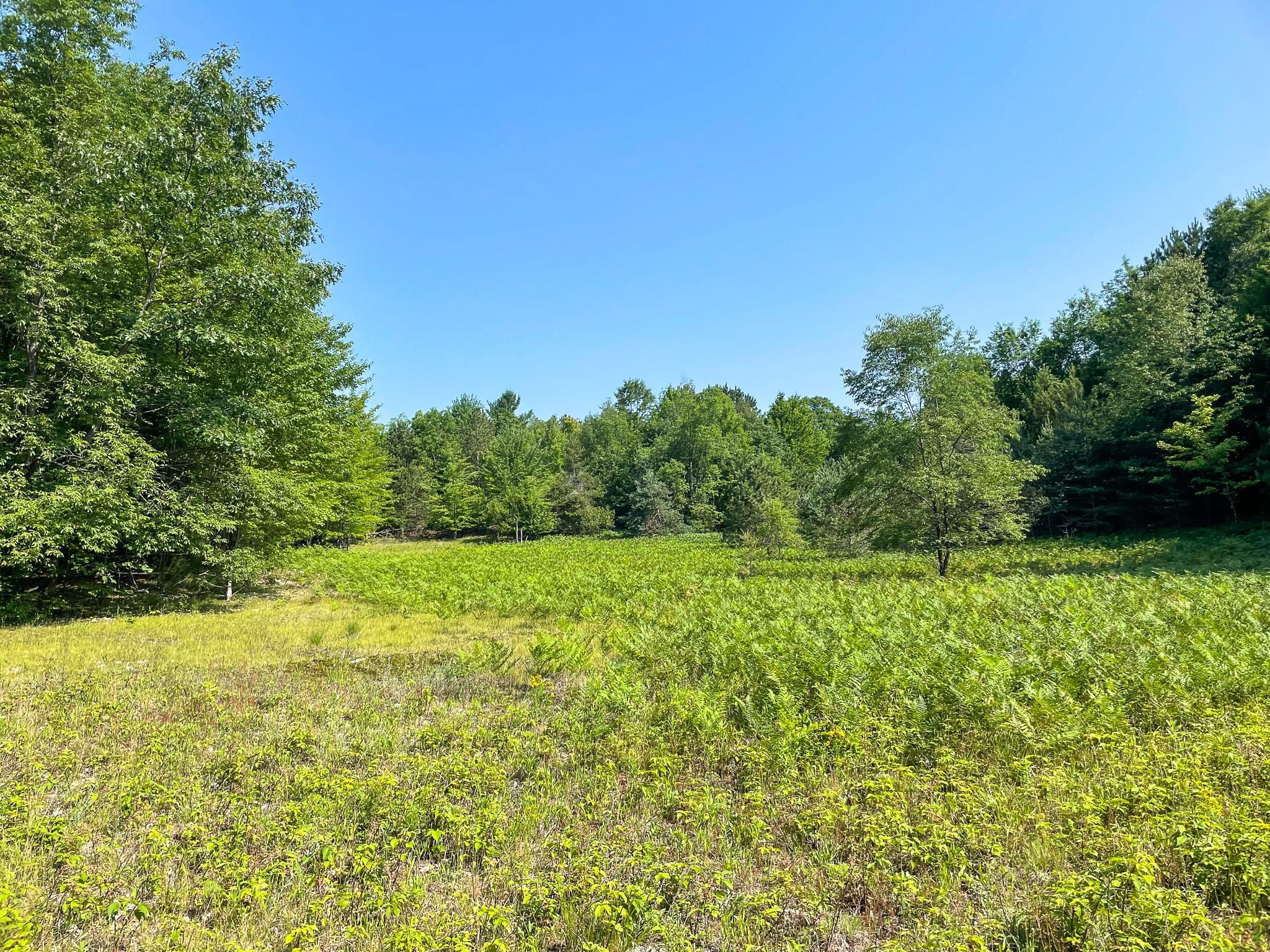 40 acres in Osceola County, Michigan