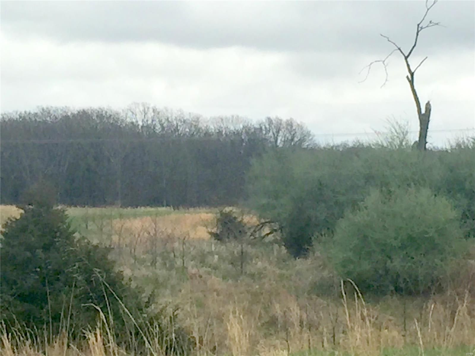 10 acres in Pike County, Missouri