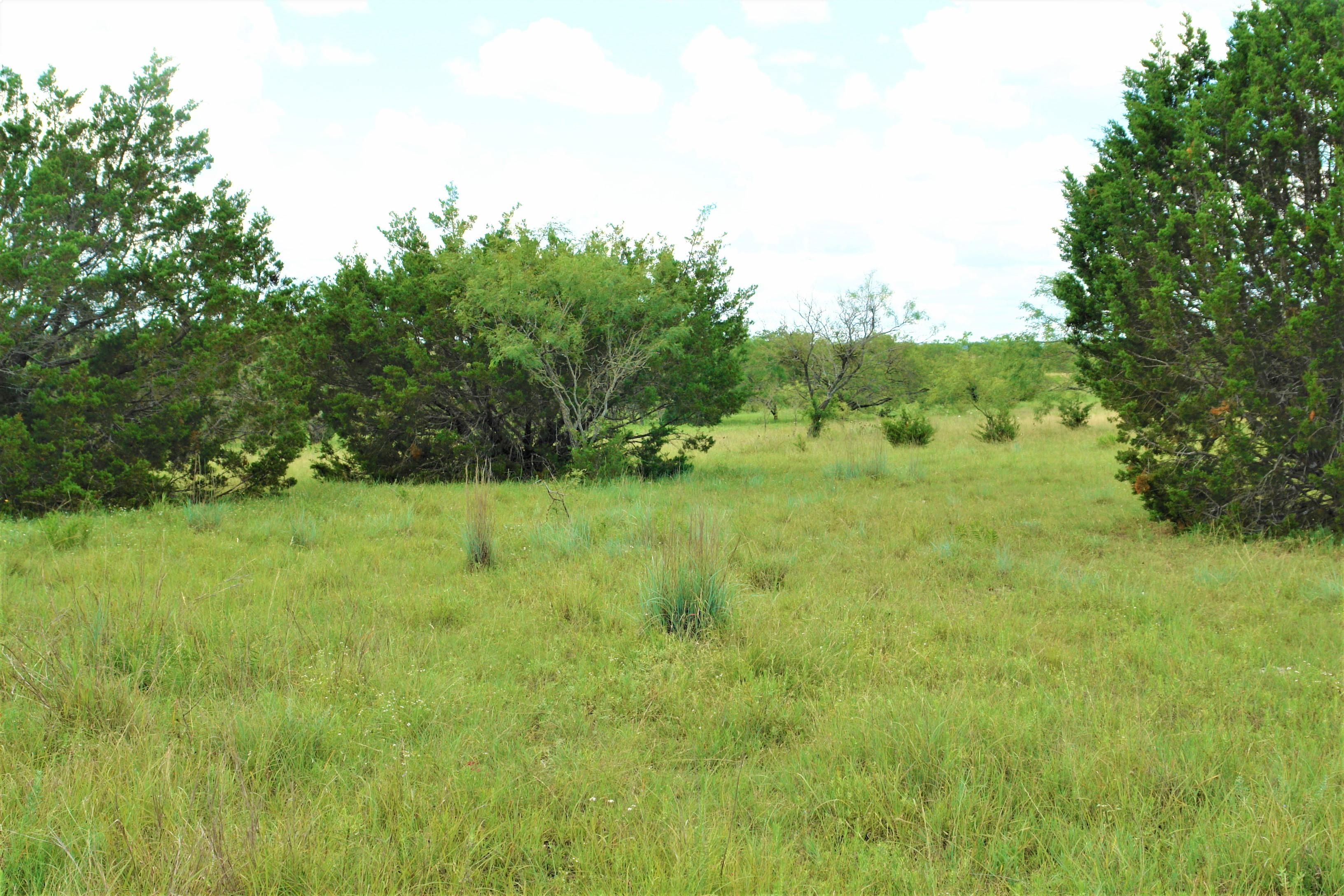 40 acres in Mills County, Texas