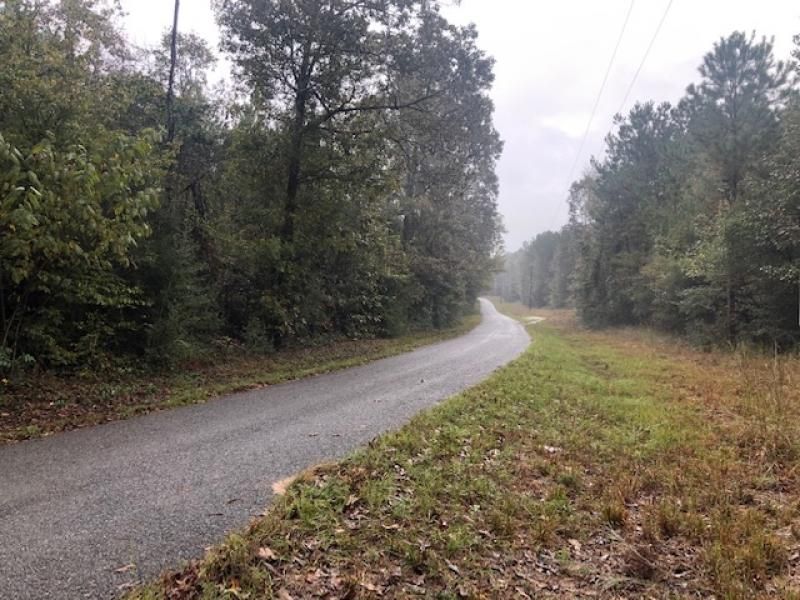 56 acres in Jasper County, Mississippi